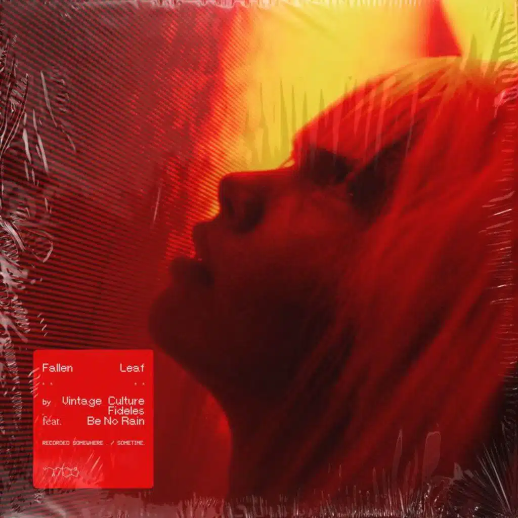 Fallen Leaf (feat. Be No Rain)