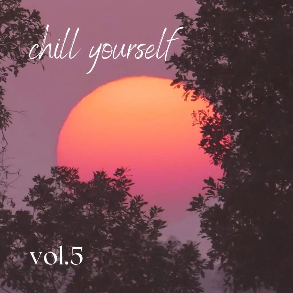 Chill Yourself Vol.5