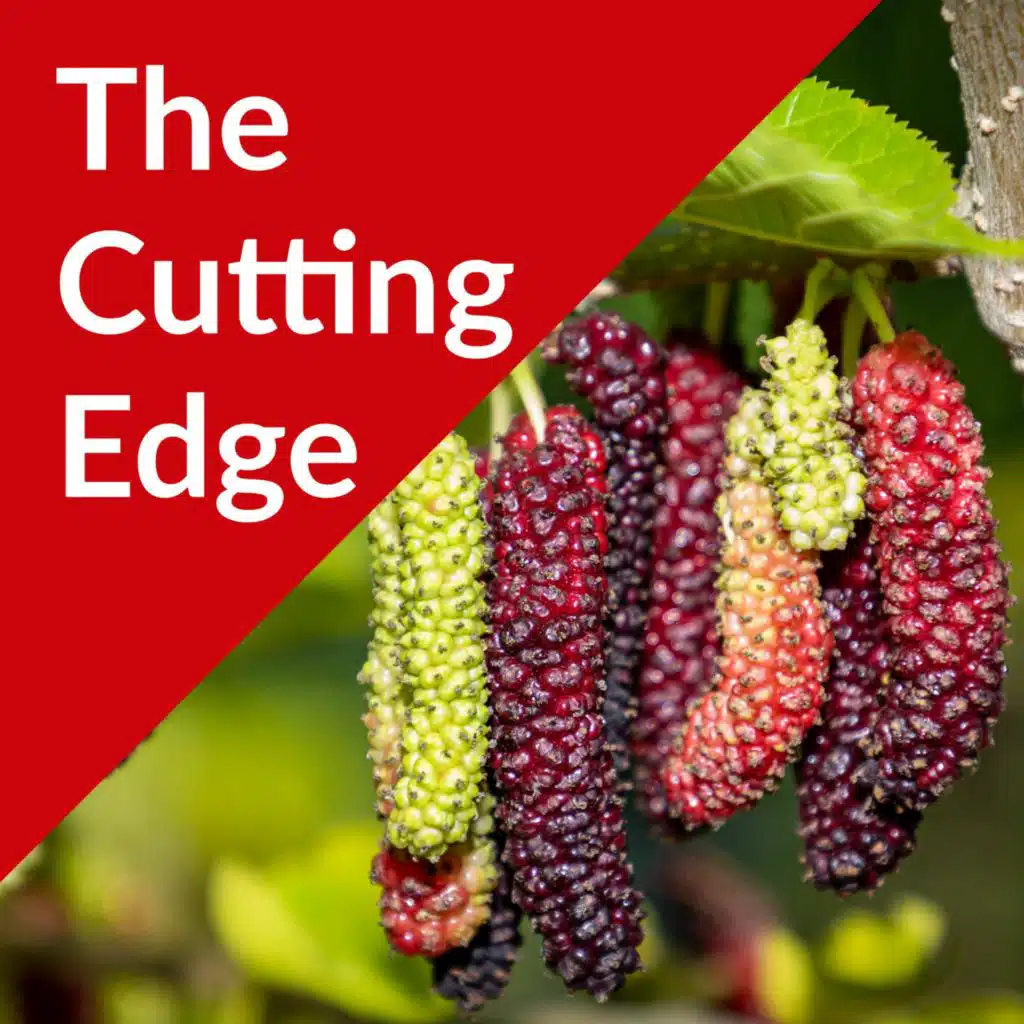 Episode #44: Mulberries Part II, Very Mulberry and Habitera Farms with Anil and Smita