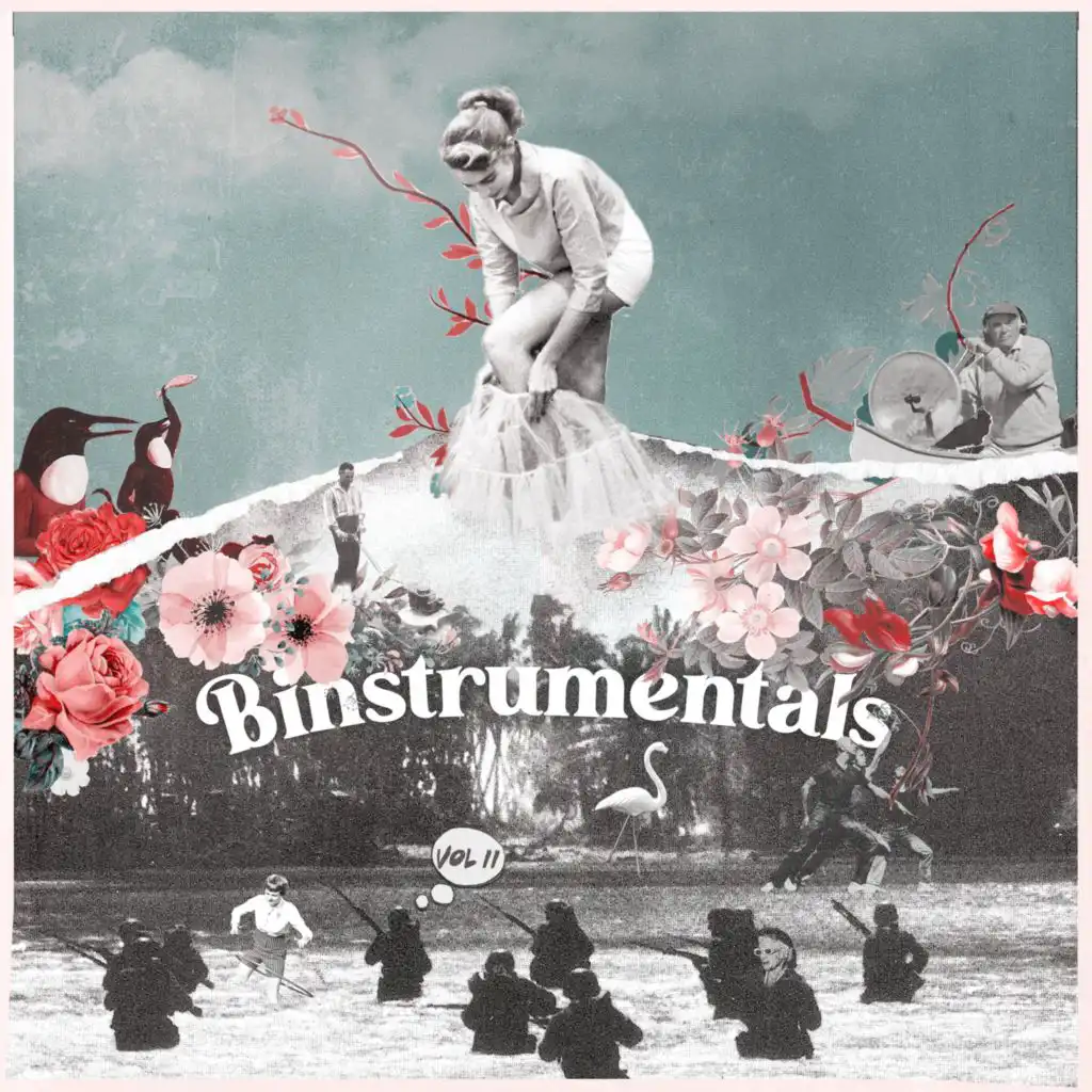 Binstrumentals Vol. II