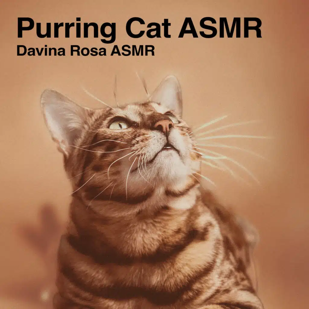 Wet Reverberous Squishes