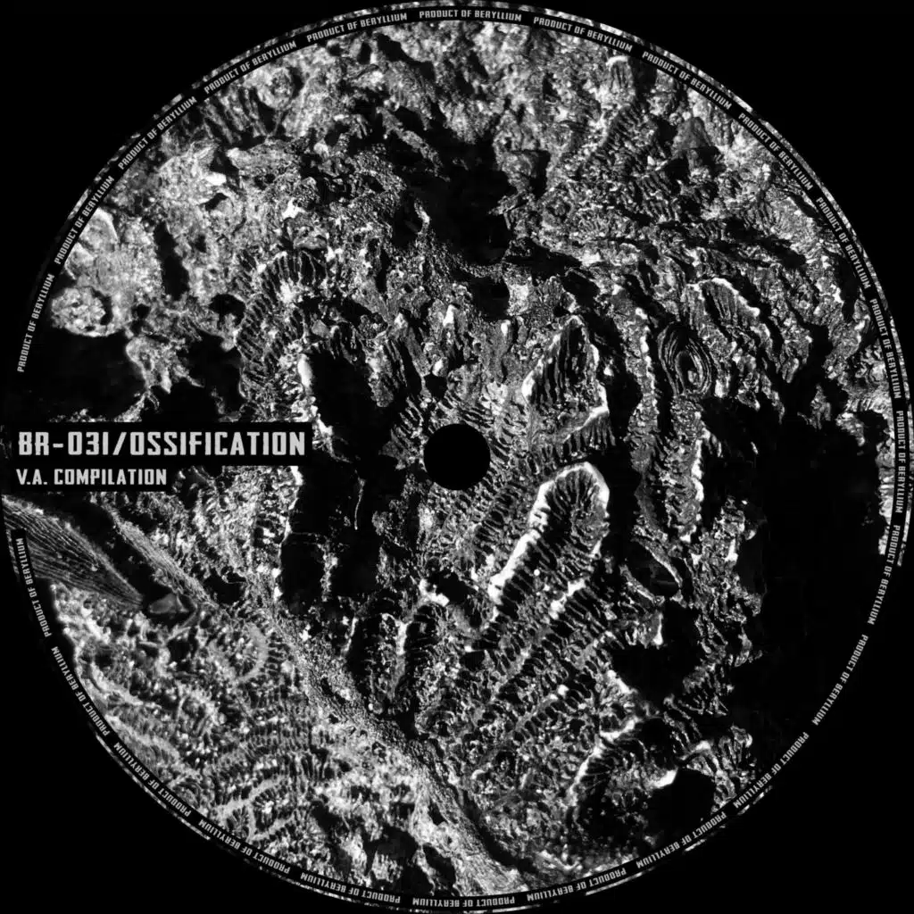OSSIFICATION