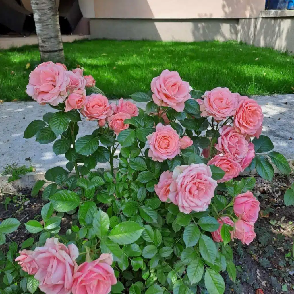 Rock Ballads, Vol. 10 (Instrumental Versions)