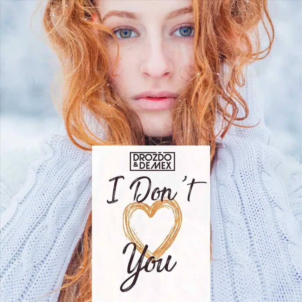 I Don't Love You