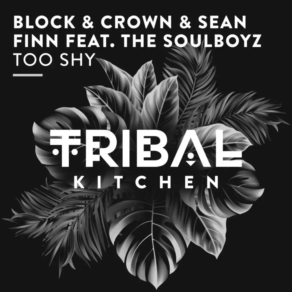 Too Shy (Extended Mix) [feat. THE SOULBOYZ]