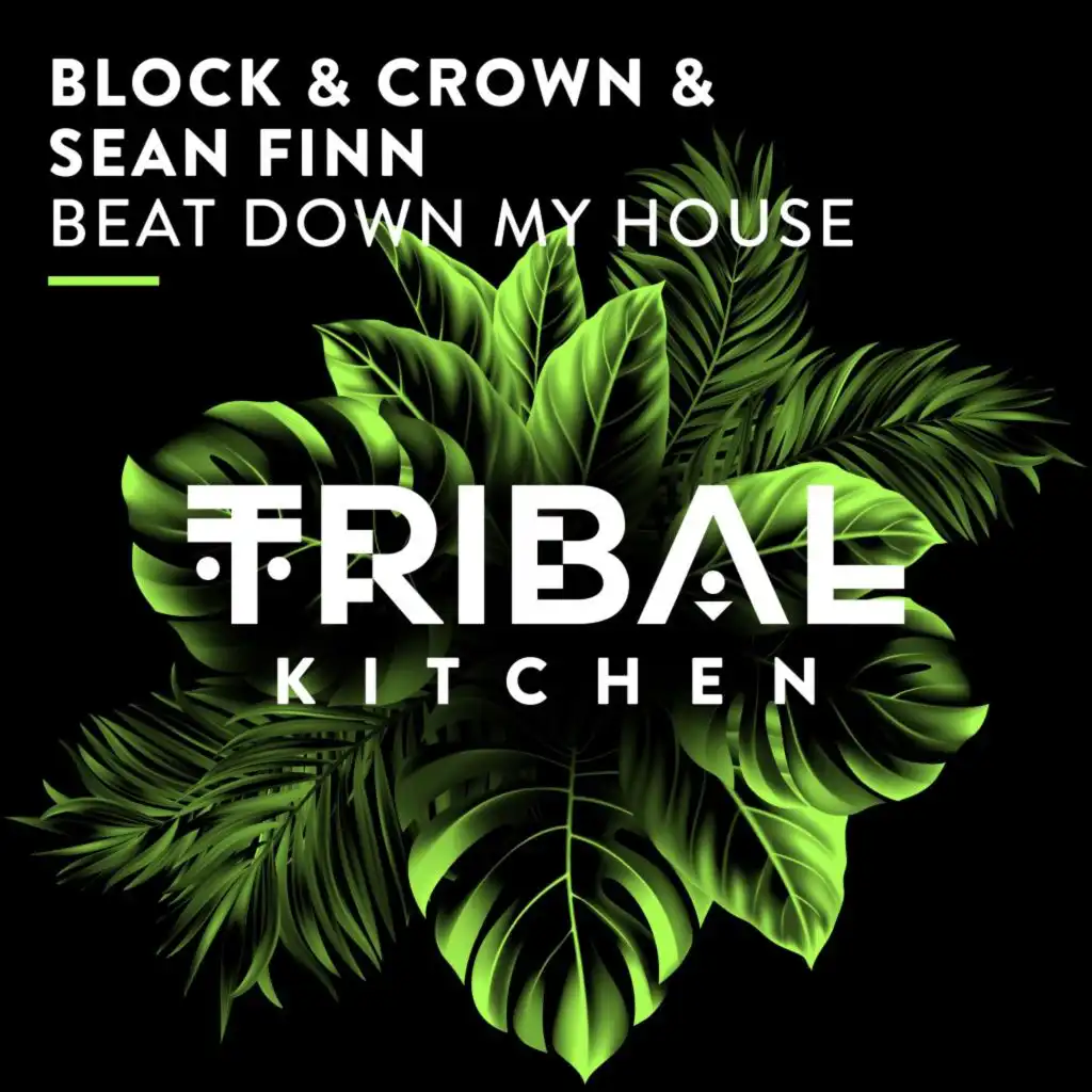 Beat Down My House (Extended Mix)