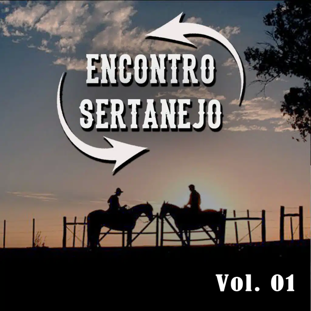 Encontro Sertanejo, Vol. 01
