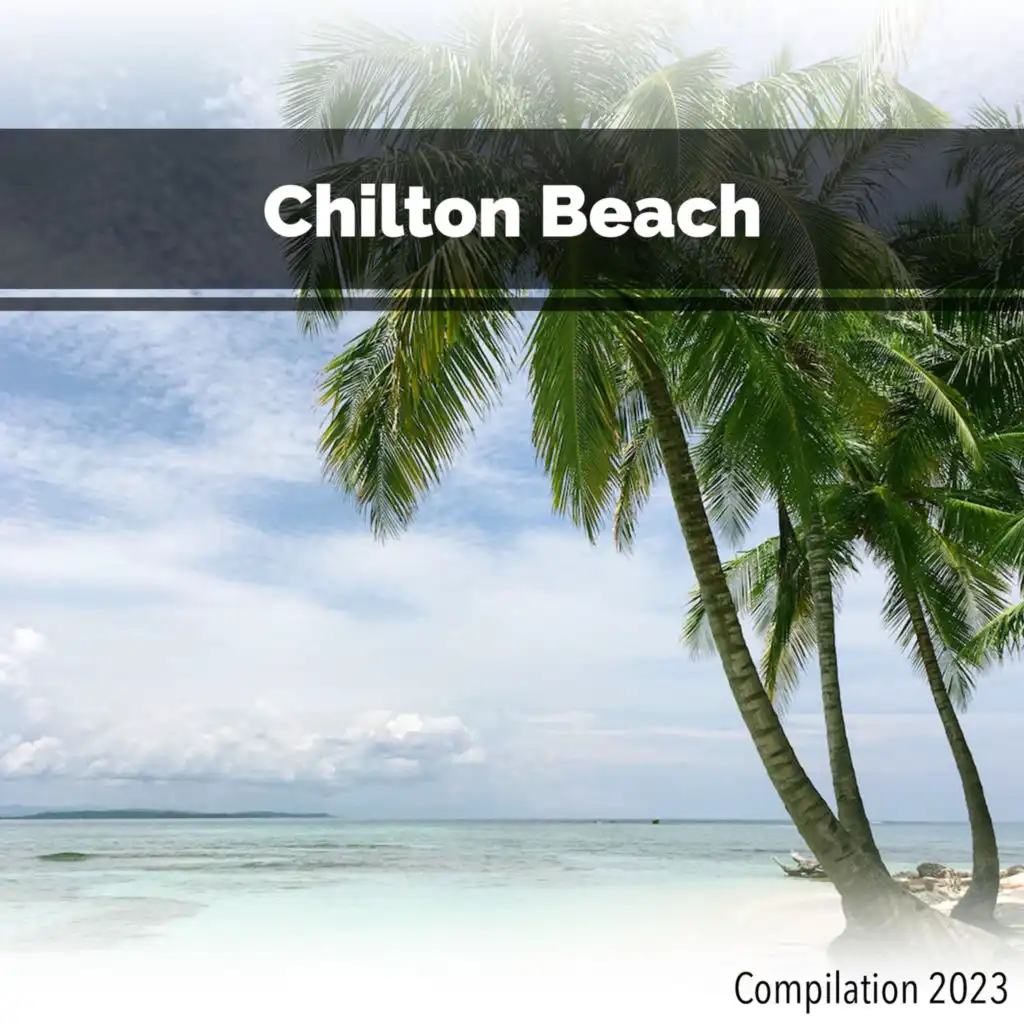 Chilton Beach Compilation 2023