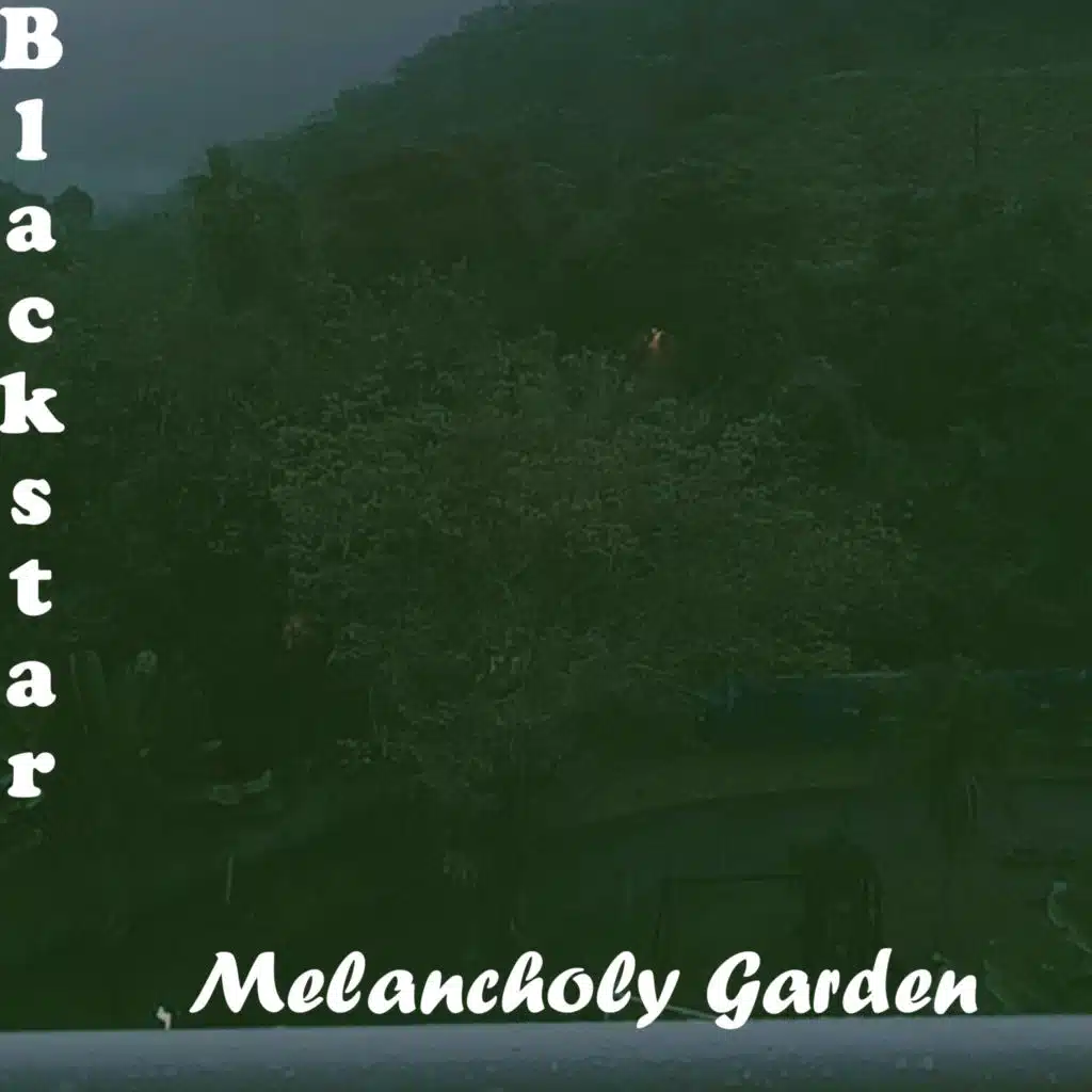 Melancholy Garden