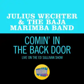 Julius Wechter & The Baja Marimba Band