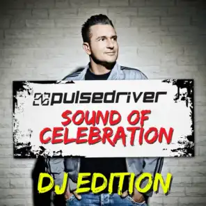 Sound Of Celebration (DJ Edition)