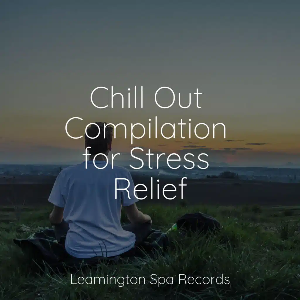 Chill Out Compilation for Stress Relief