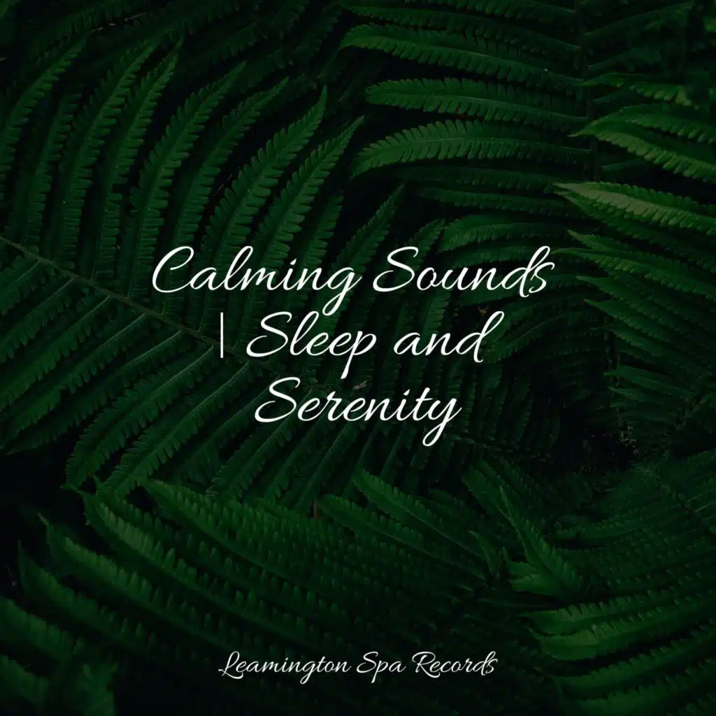 Masters of Binaurality