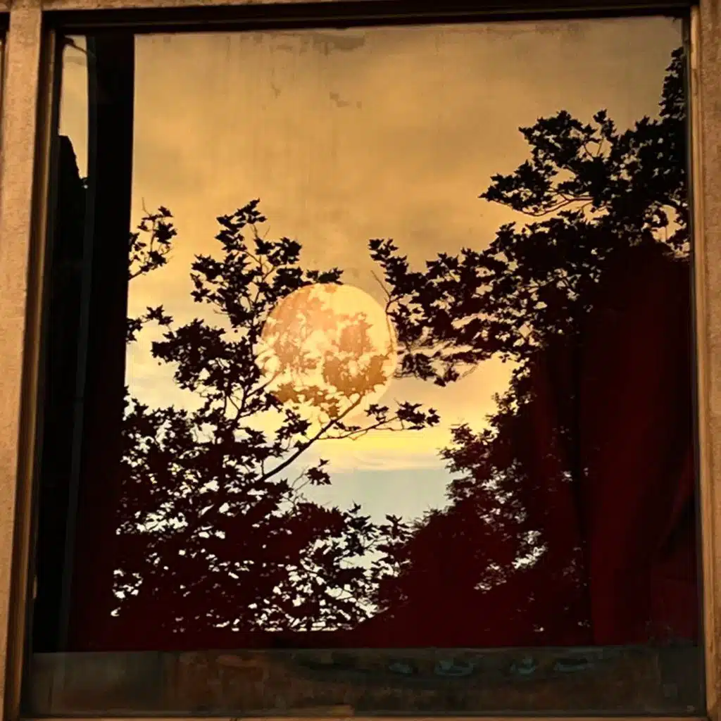 Kurt Stewart & HM Surf