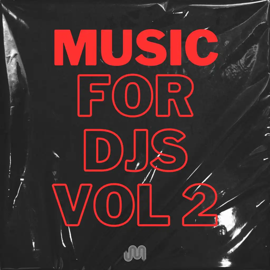 Music For DJs Vol 2 (feat. Stilo Mancia, DJ Dero, VEATZ, Allen Wish, C.F.S. Bea, Gerardo Varela, Mike Ivy, Diego Antoine, Robbie Rivera, Mark Boson, Heydi Garcia, All Fred, Mijangos & Georgia Train)