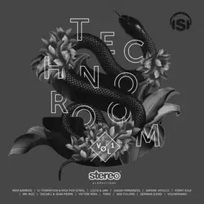 Techno Room, Vol. 1
