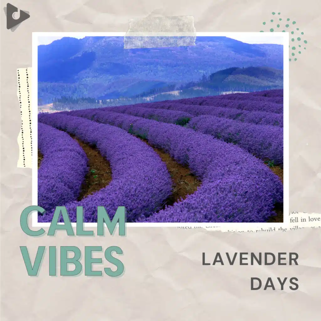 Lavender Days