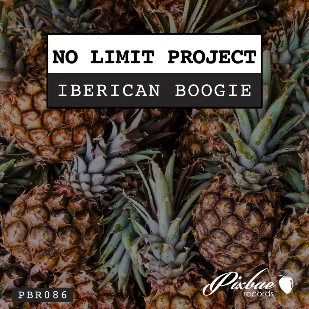 No Limit Project