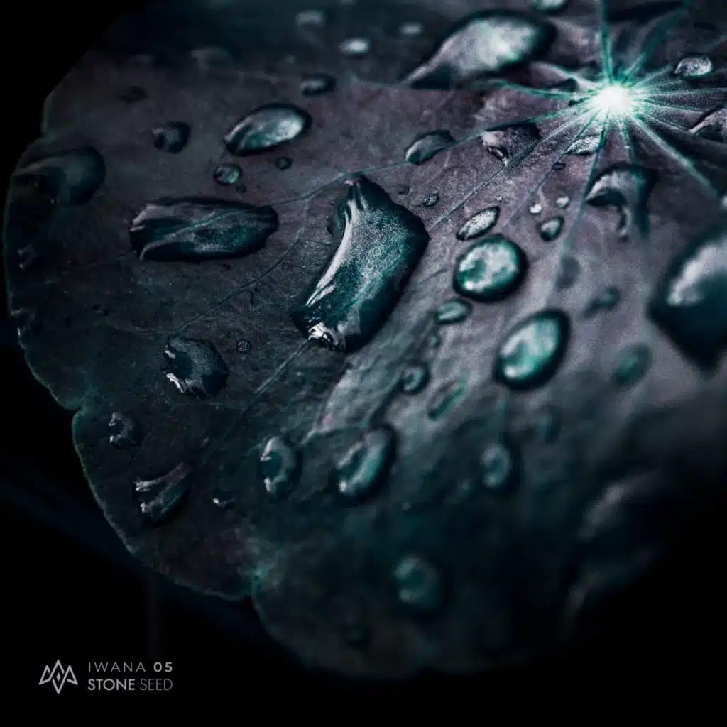 Perfect Stranger, Child & Rainbird