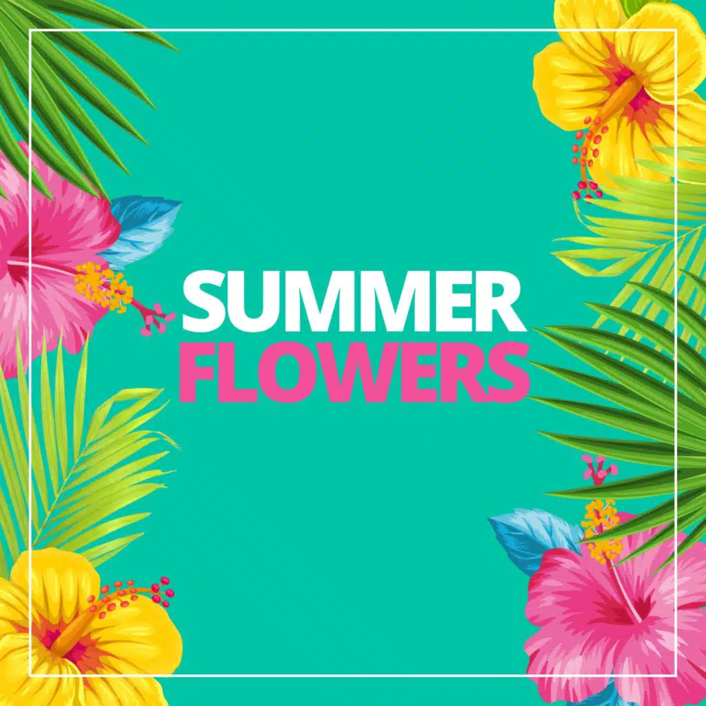 Dimor, Tontherapie & Fristik