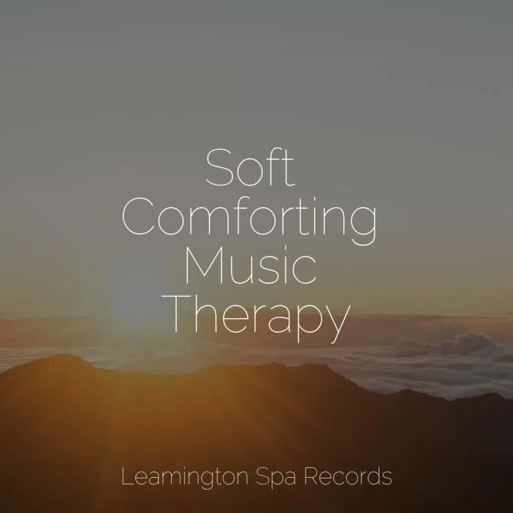 Ambient Soundscape for Sleep