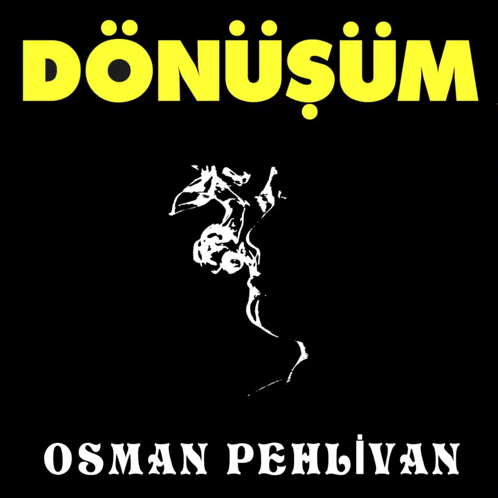 Dönüşüm