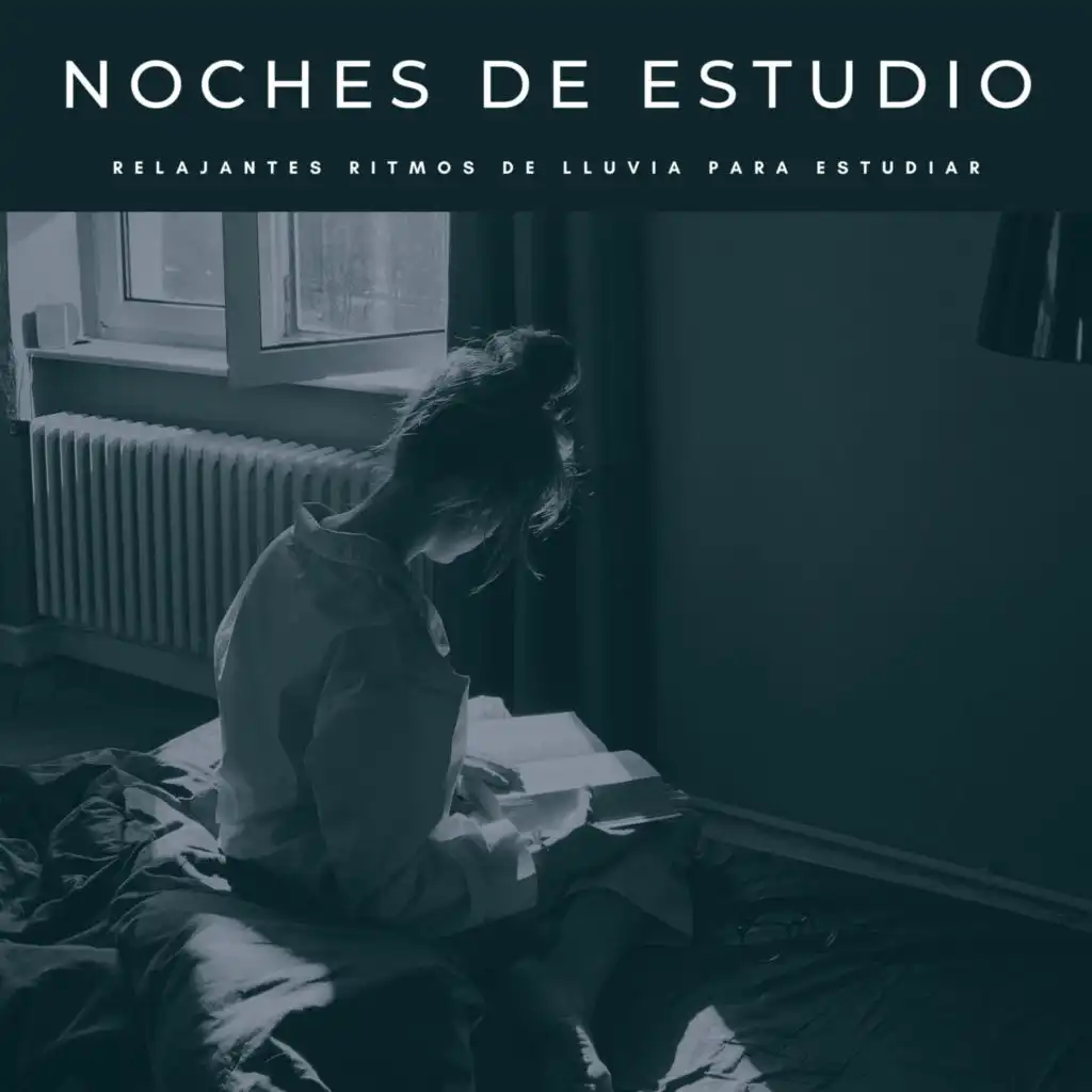 Noches De Estudio: Relajantes Ritmos De Lluvia Para Estudiar