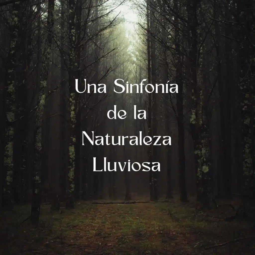 Una Sinfonía De La Naturaleza Lluviosa