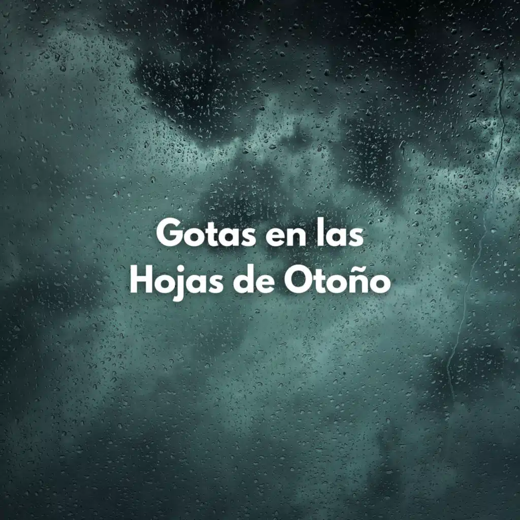 Gotas En Las Hojas De Otoño