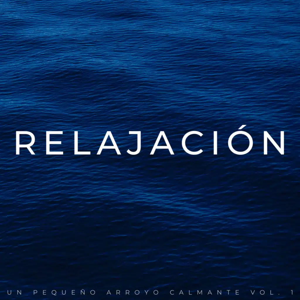 Arroyo Del Bosque Nublado