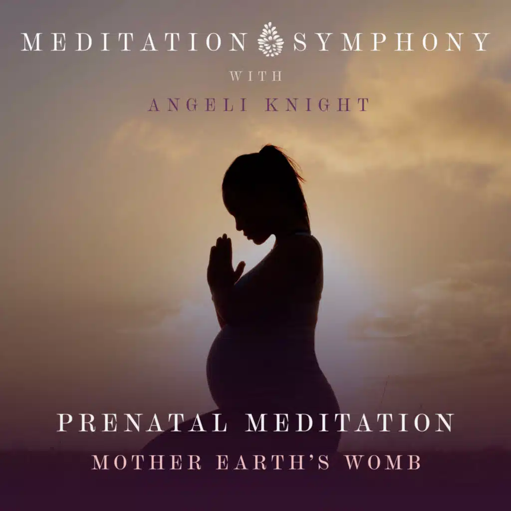 Meditation Symphony & Little Symphony