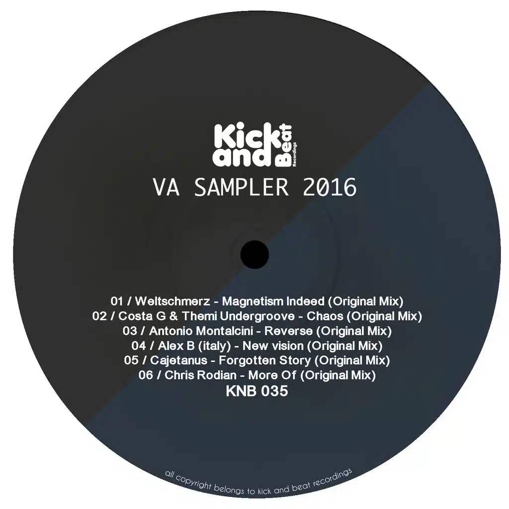 VA Sampler 2016
