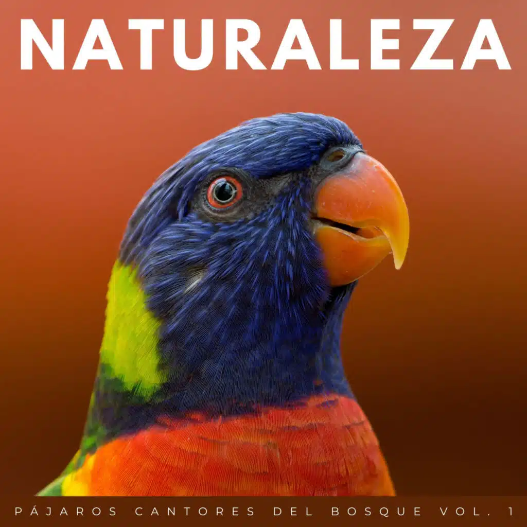 Escuchar El Arte De La Naturaleza