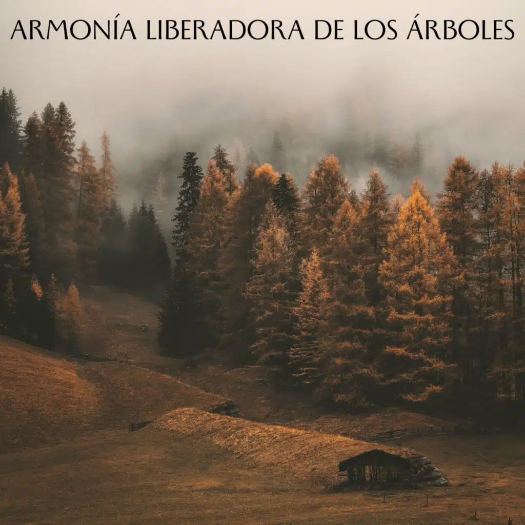 Armonía Liberadora De Los Árboles