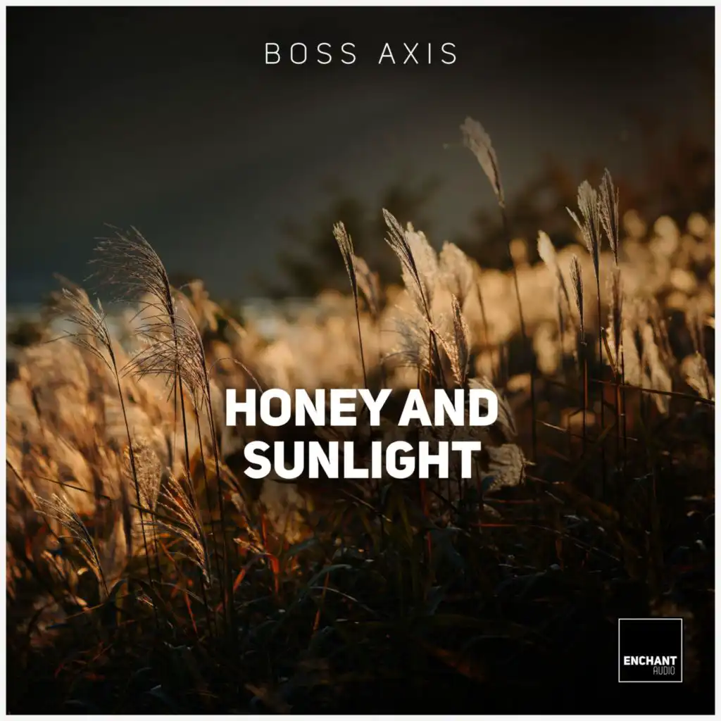 Honey and the Sunlight (Lukas Bilz Remix)