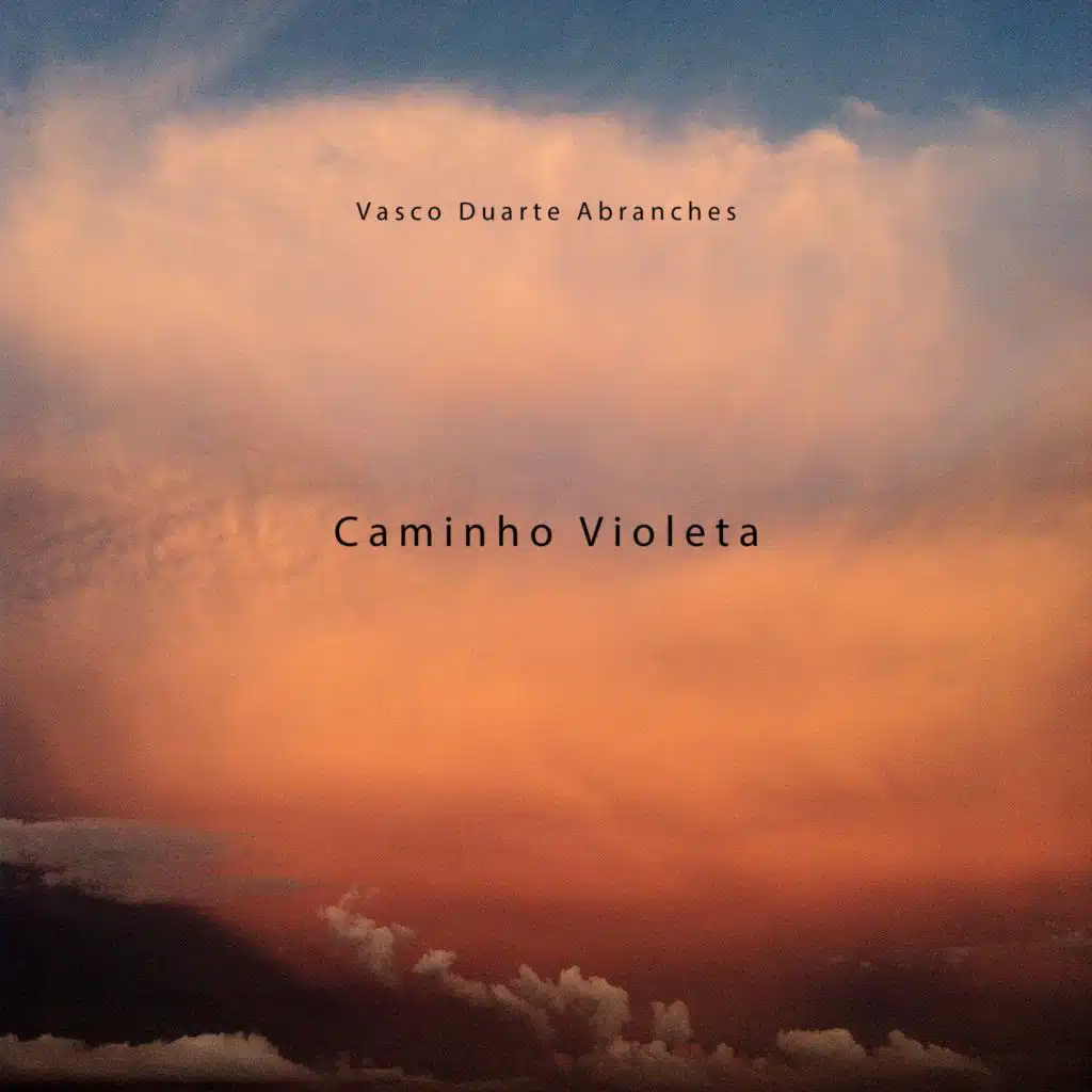 Vasco Duarte Abranches