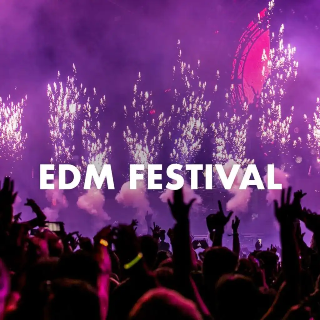 EDM Festival