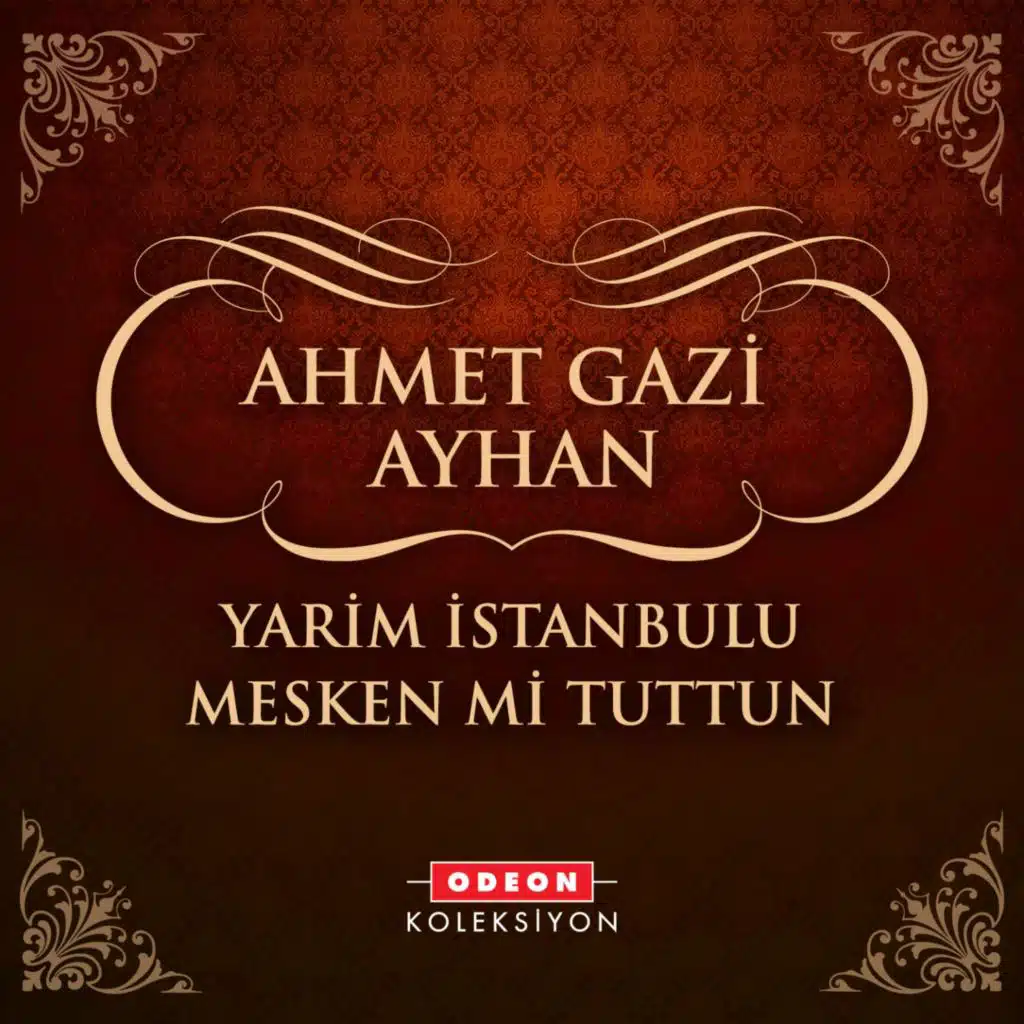 Yarim İstanbulu Mesken Mi Tuttun