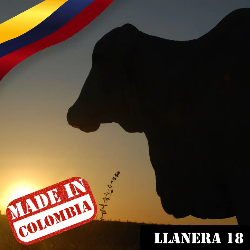 Made In Colombia: Llanera, Vol. 18