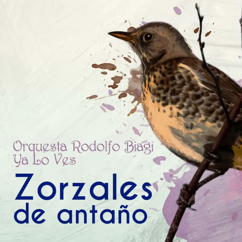 Zorzales de Antaño - Orquesta Rodolfo Biagi - Ya Lo Ves