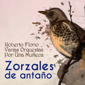 Orquesta Armando Pontier & Roberto Florio