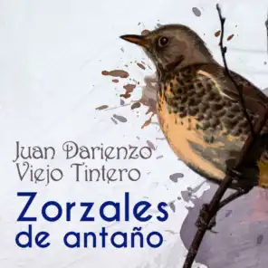 Zorzales de Antaño - Juan Darienzo - Viejo Tintero