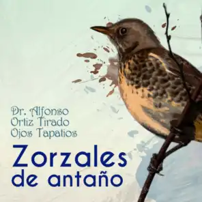 Dr. Alfonso Ortíz Tirado