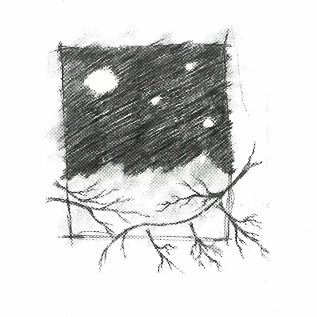 Fascination With Airplanes