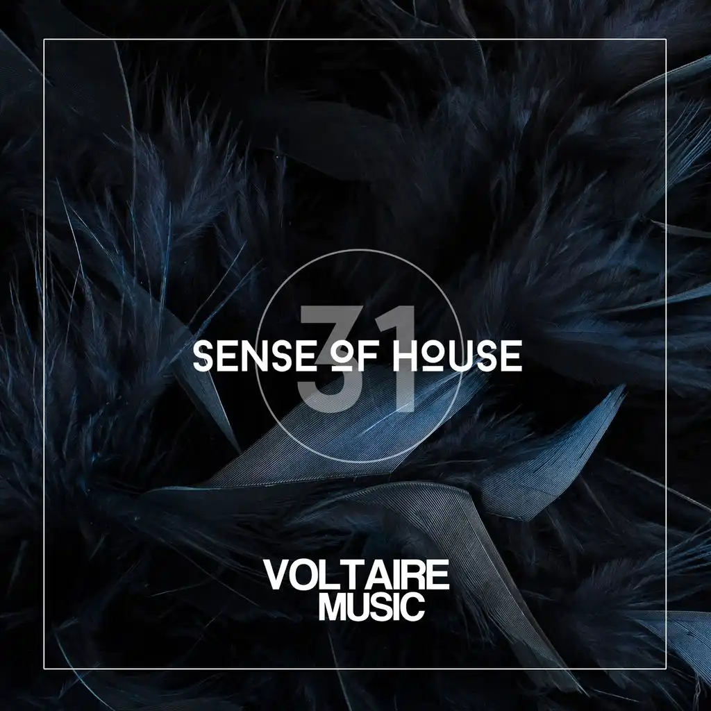 Sense of House, Vol. 31