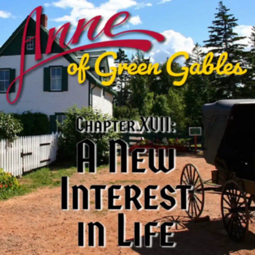 Anne of Green Gables, Chapter XVII: A New Interest in Life