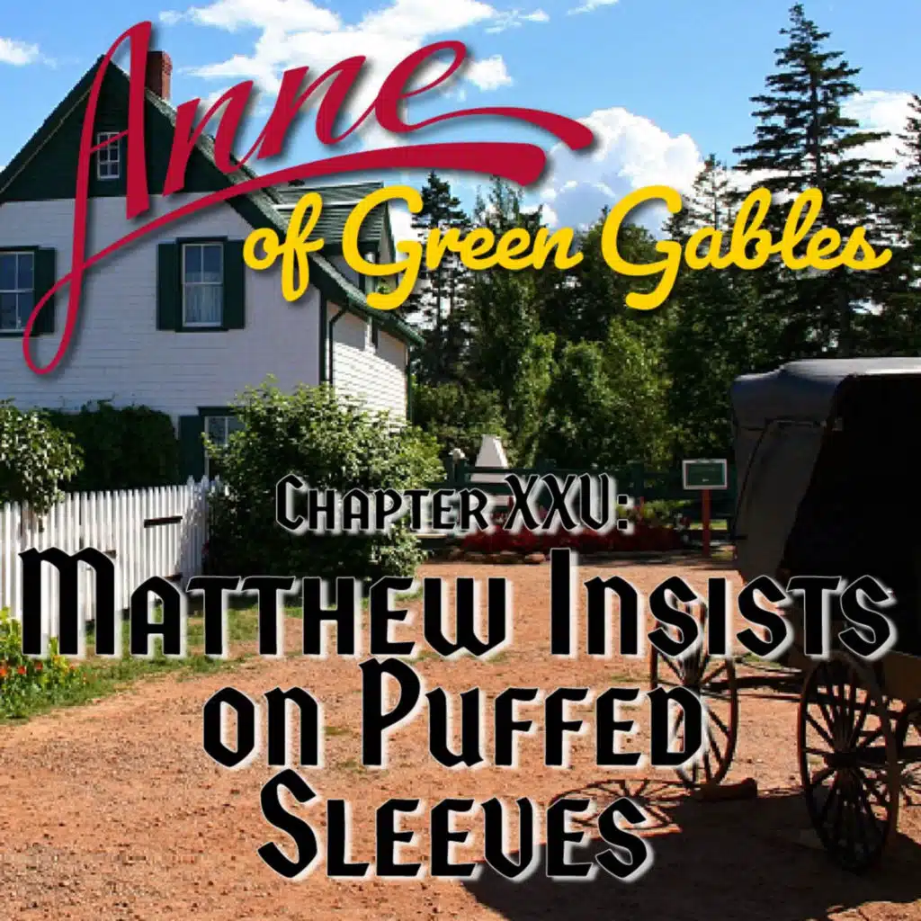 Anne of Green Gables, Chapter XXV: Matthew Insists on Puffed Sleeves