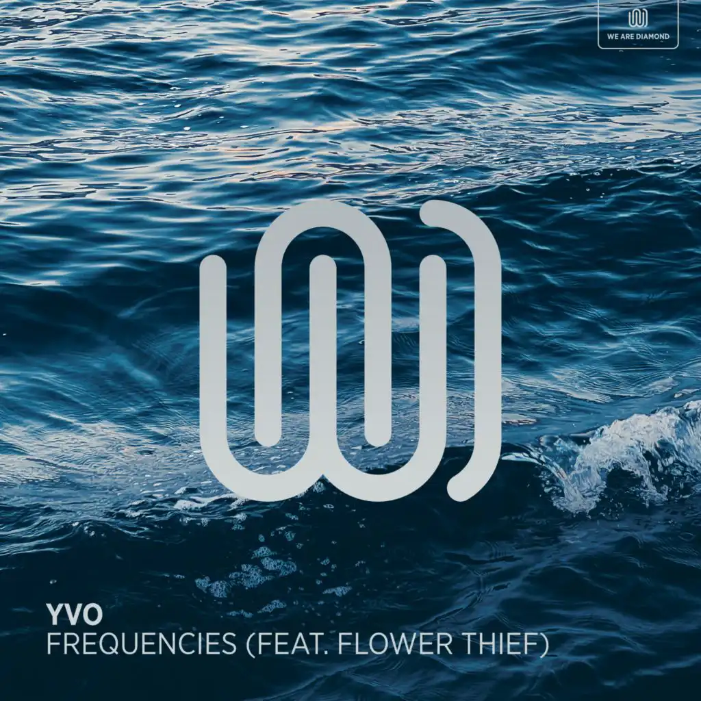 Frequencies (feat. flower thief)