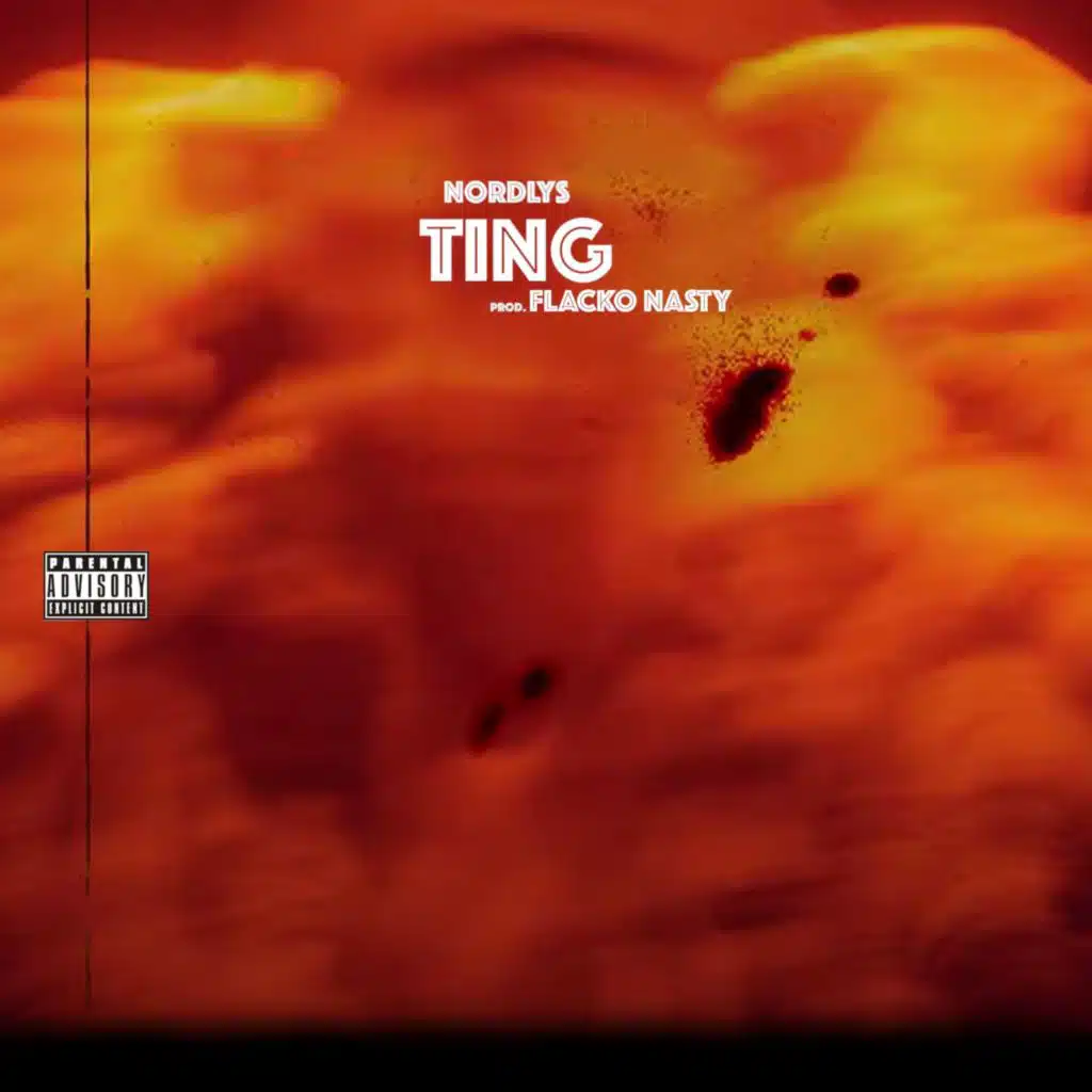 TING (feat. Flacko Nasty)
