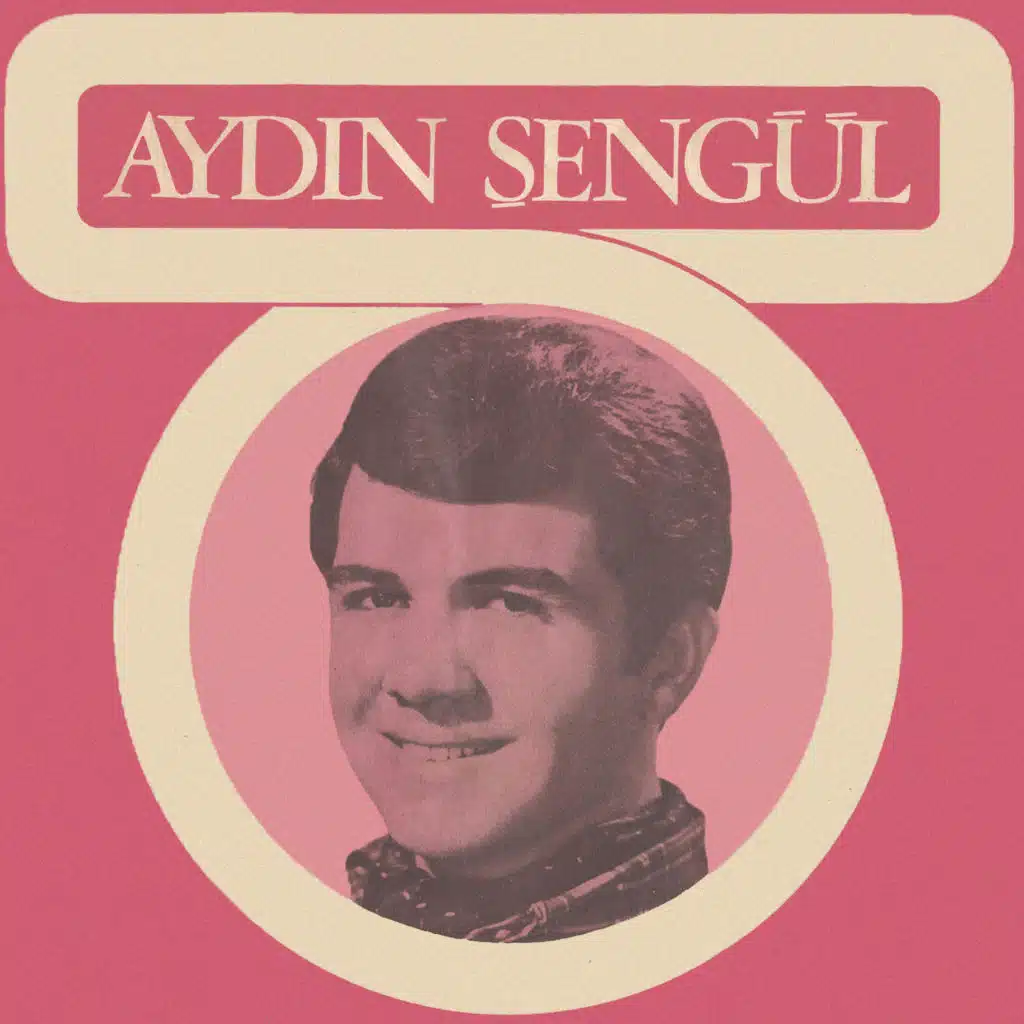 Bizi Çekemediler